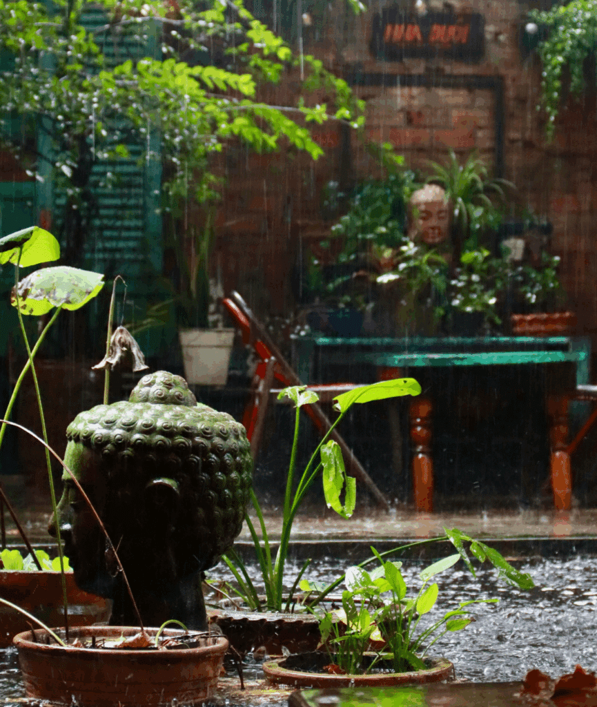 Horticultural Therapy for Trauma Recovery in Adults