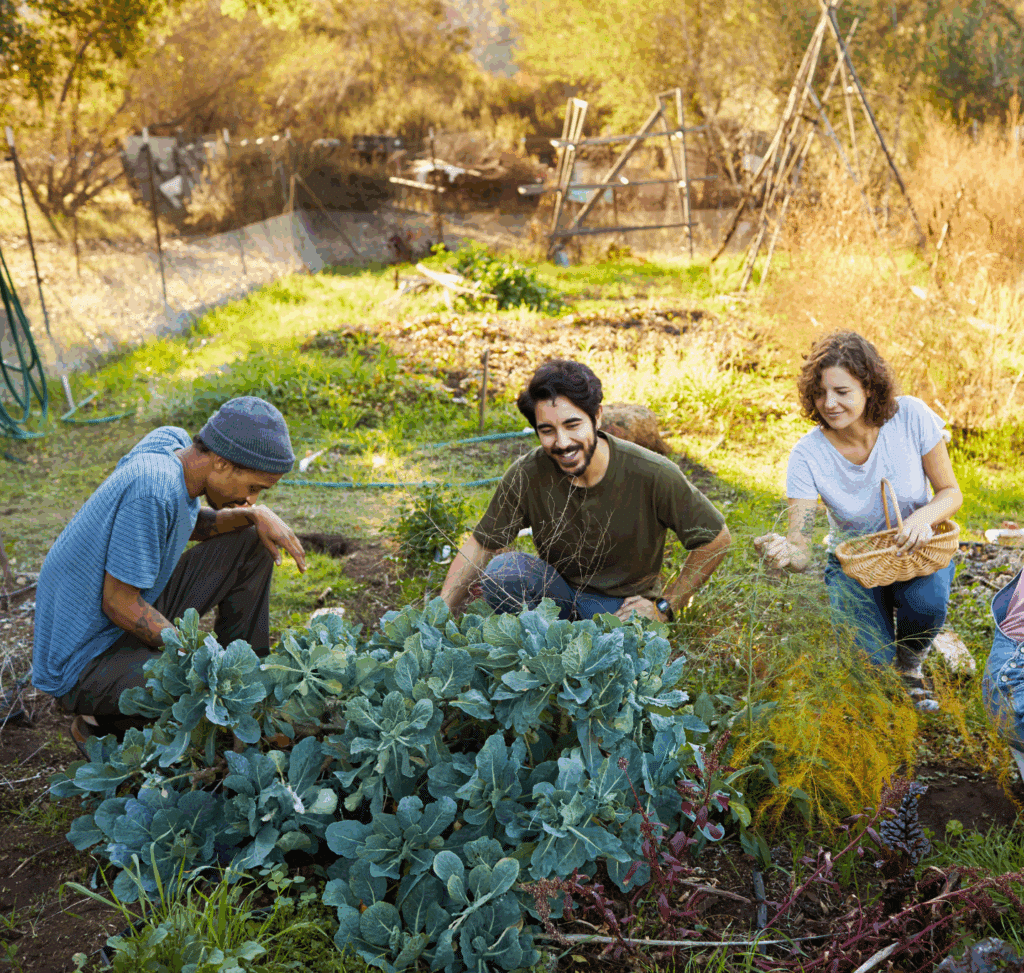 Therapeutic Gardening Activities for Groups
