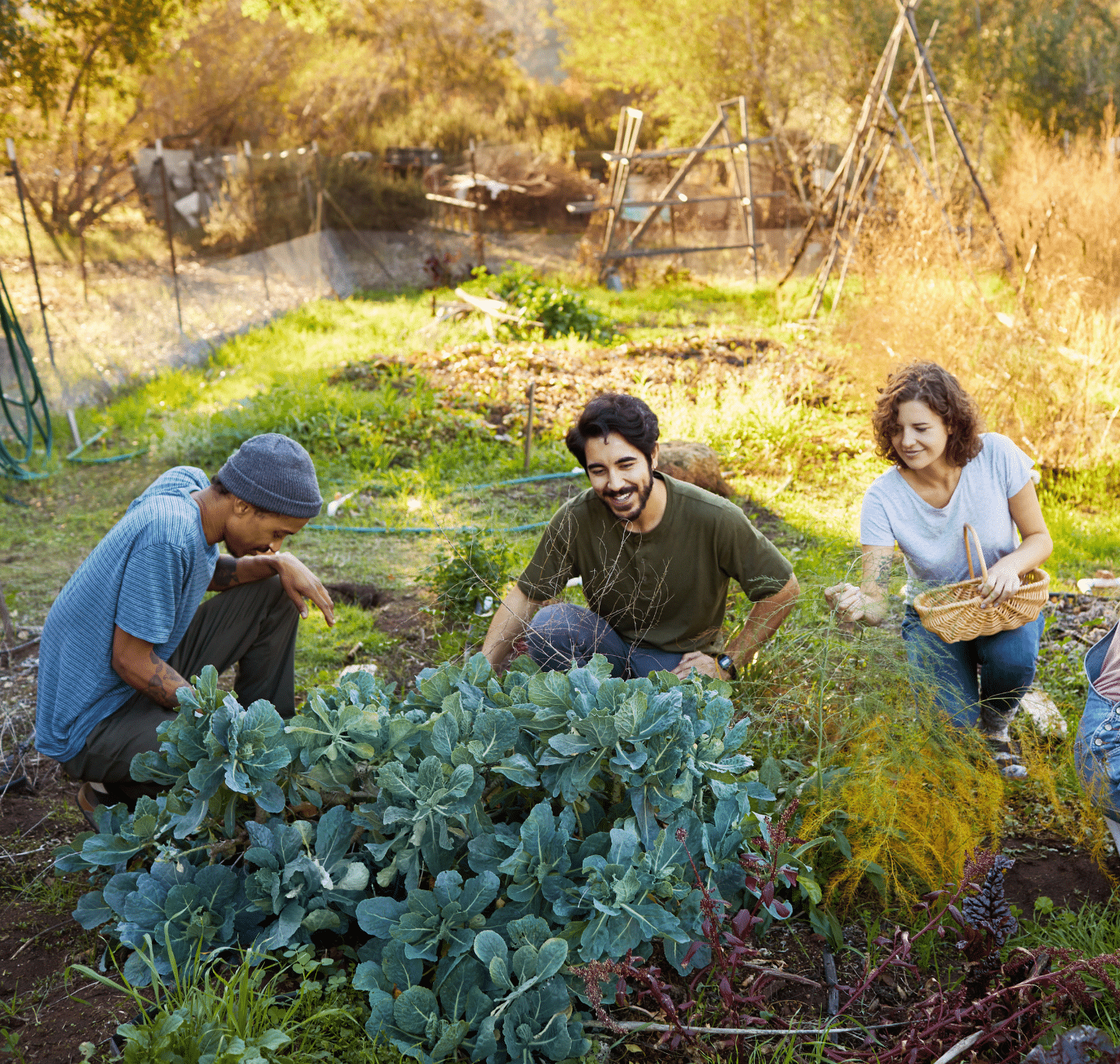 Horticultural Therapy Group Activities For Mental Health