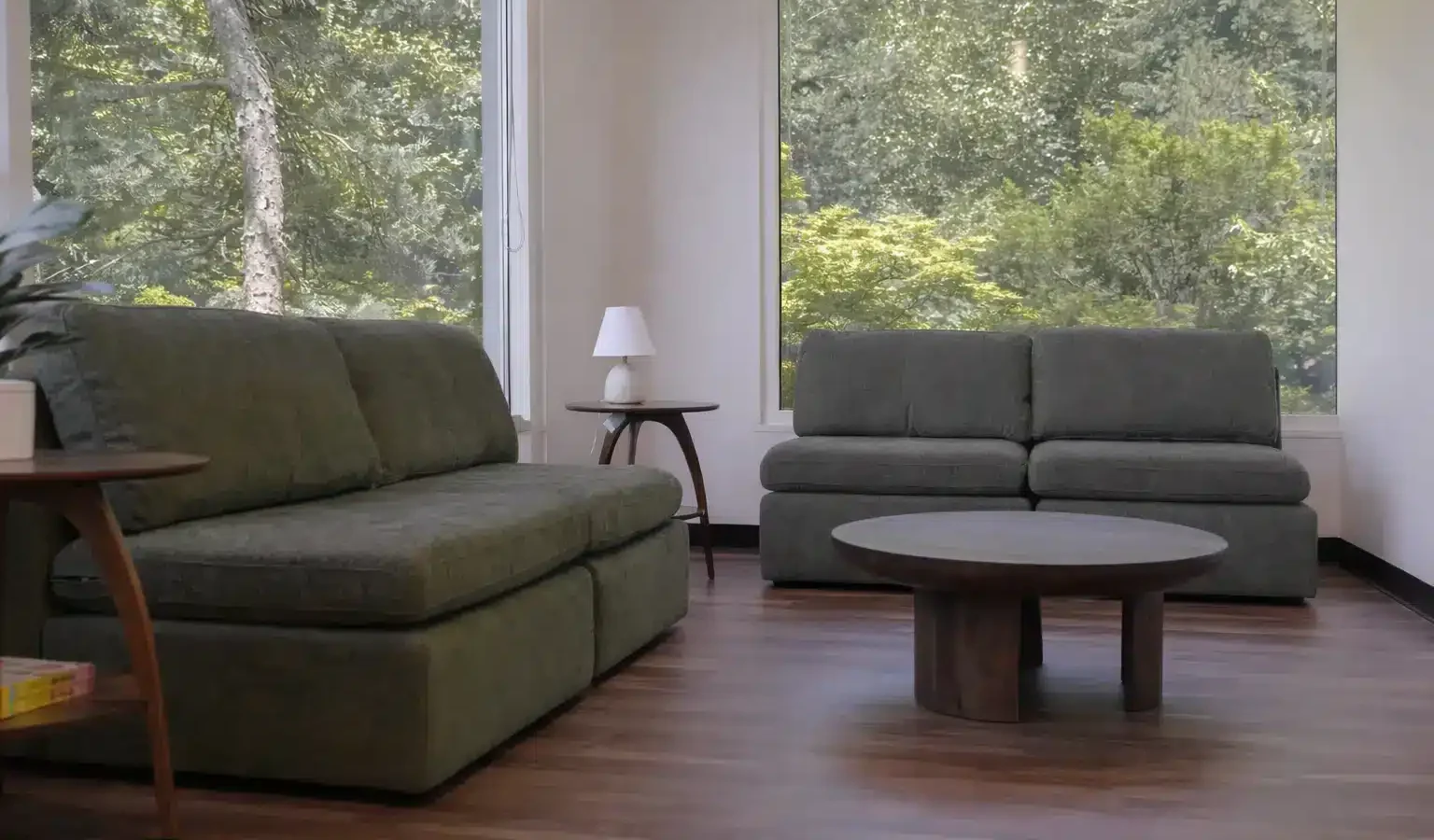 Sunlit therapy lounge with green sofas, a round wooden table, and large windows overlooking trees.