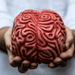 Person holding brain in their hands, representing the neurobiology of mental health